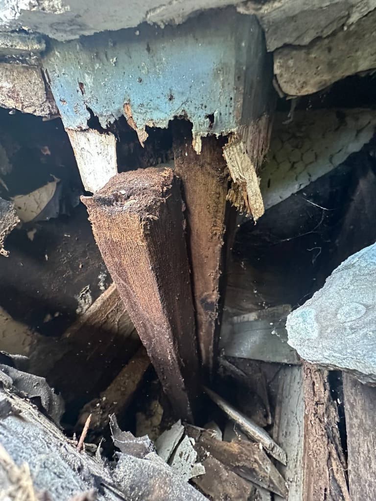 Completely rotted structural timber post hidden inside the column pedestal