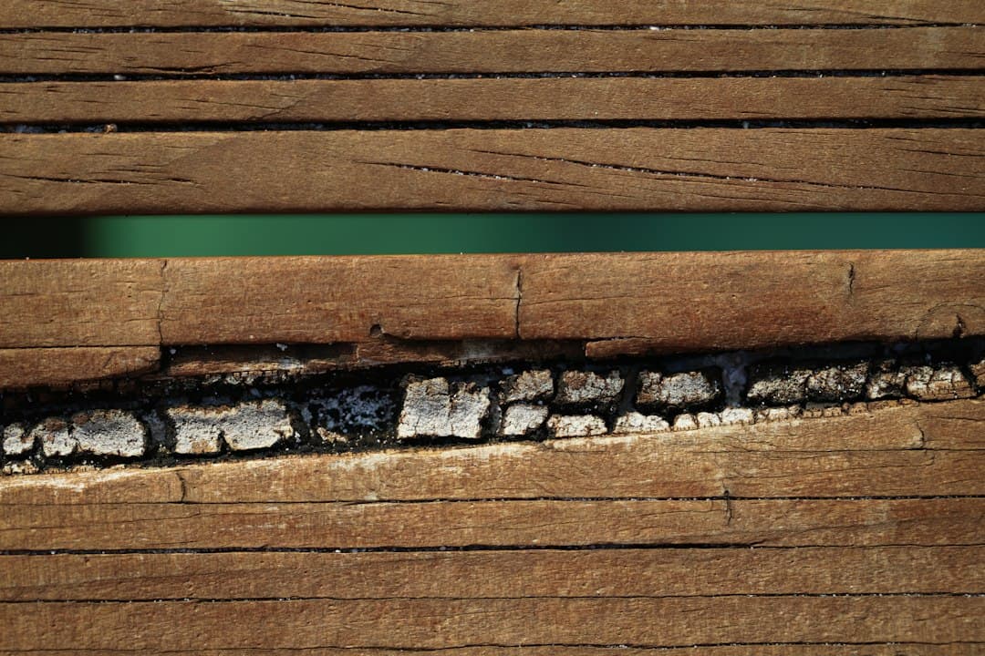 Structural Wood Repair: Modern Solutions for SoCal Homes in 2025