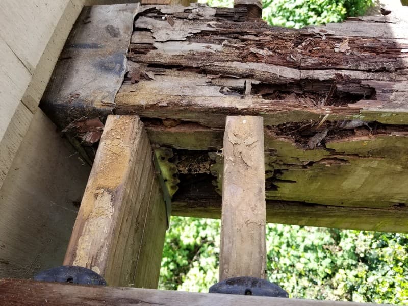 Severe Dry Rot